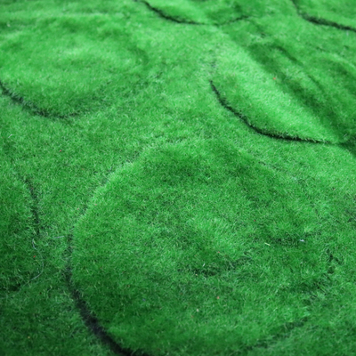 Simulation Artificial Moss Mat Turf Flocking Plant Wall 10mm Plastic Panels