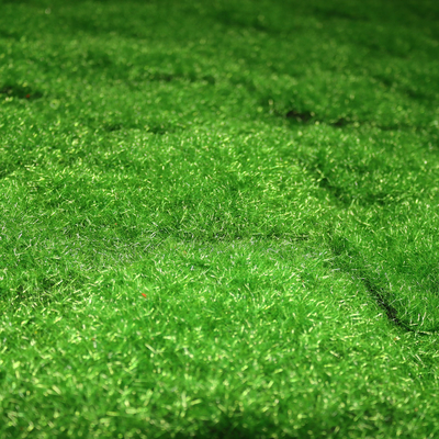 Indoor Cloth Artificial Moss Mat 100*100cm Landscape Fake Green Grass Wall