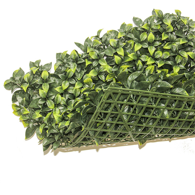 A parede plástica da planta das hortaliças dos painéis grama o contexto artificial da parede da grama para a decoração interna do restaurante da casa